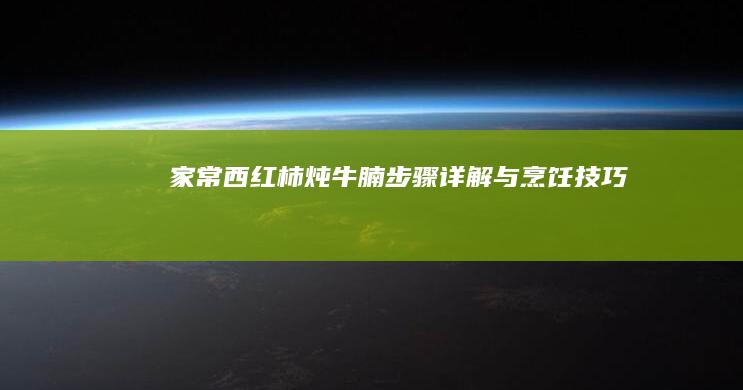 家常西红柿炖牛腩：步骤详解与烹饪技巧